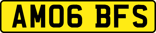 AM06BFS