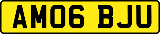 AM06BJU