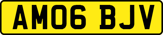 AM06BJV