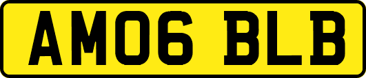 AM06BLB