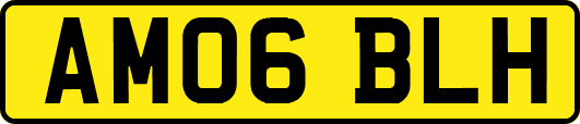 AM06BLH