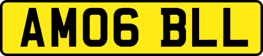 AM06BLL