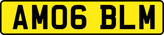 AM06BLM