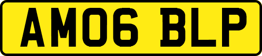 AM06BLP
