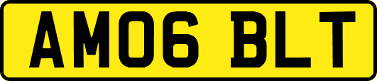 AM06BLT