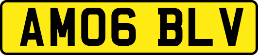 AM06BLV
