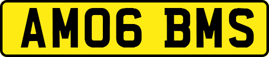 AM06BMS