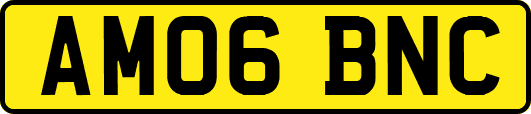 AM06BNC