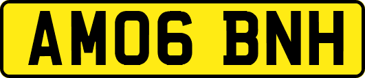 AM06BNH