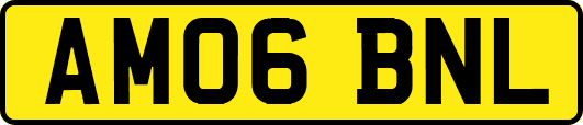 AM06BNL