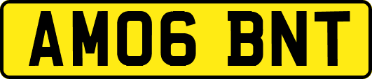 AM06BNT