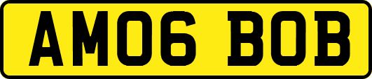 AM06BOB
