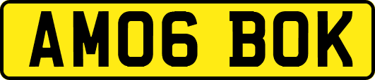 AM06BOK