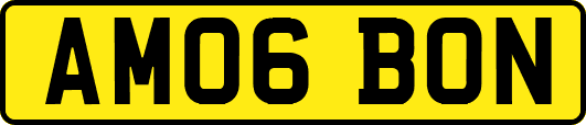 AM06BON
