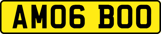 AM06BOO