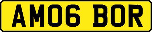 AM06BOR