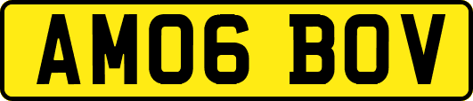 AM06BOV