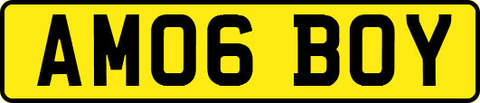AM06BOY