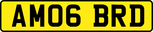 AM06BRD