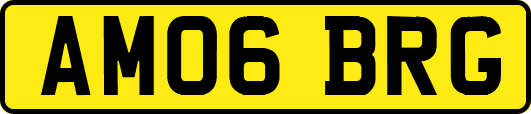 AM06BRG