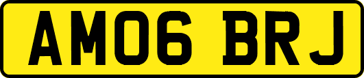AM06BRJ