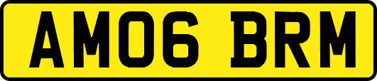 AM06BRM