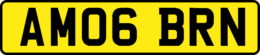 AM06BRN