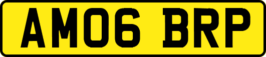AM06BRP