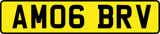 AM06BRV