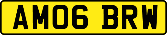 AM06BRW