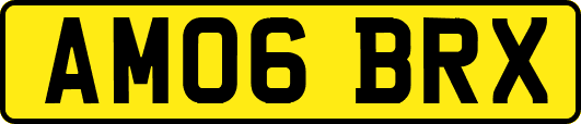 AM06BRX