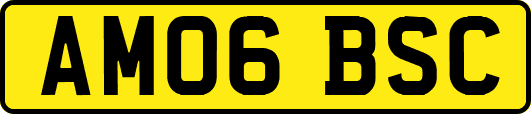 AM06BSC