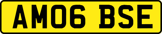 AM06BSE
