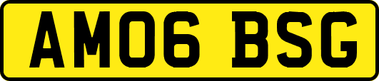 AM06BSG
