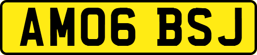 AM06BSJ
