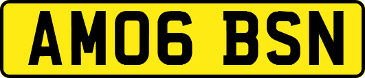 AM06BSN