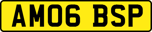 AM06BSP