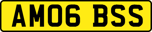 AM06BSS