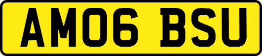 AM06BSU