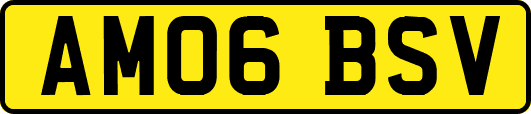 AM06BSV