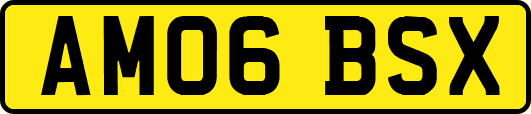 AM06BSX