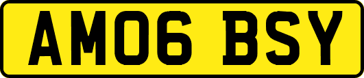 AM06BSY