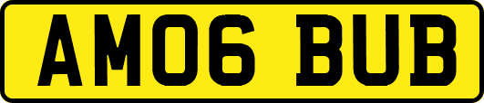 AM06BUB