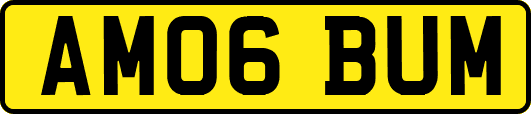AM06BUM