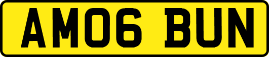 AM06BUN