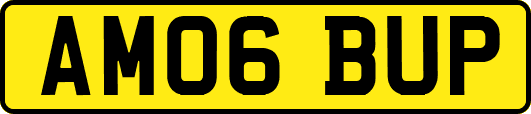 AM06BUP
