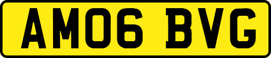 AM06BVG