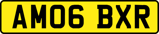 AM06BXR