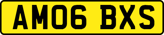 AM06BXS