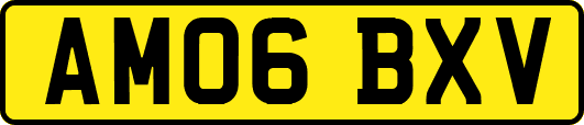 AM06BXV